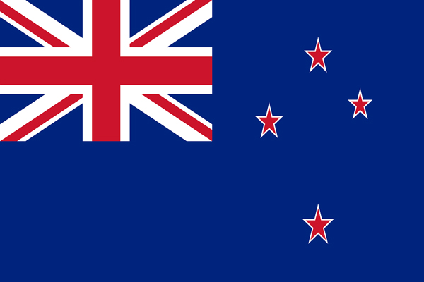 nz marketing agency