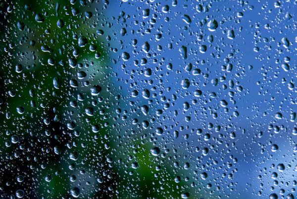 glazier website design